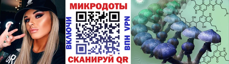 Псилоцибиновые грибы GOLDEN TEACHER нарко площадка наркотические препараты Кулебаки